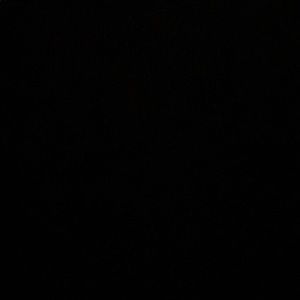 Meet your Posher, Ashlynn